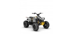 Renegade 110 EFI